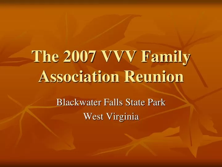 the 2007 vvv family association reunion