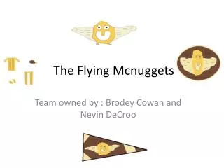 The Flying Mcnuggets