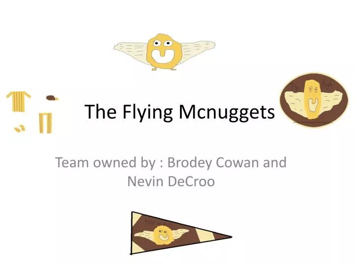 the flying mcnuggets