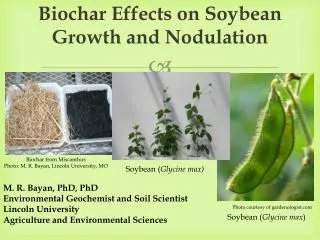 Biochar Effects on Soybean Growth and Nodulation