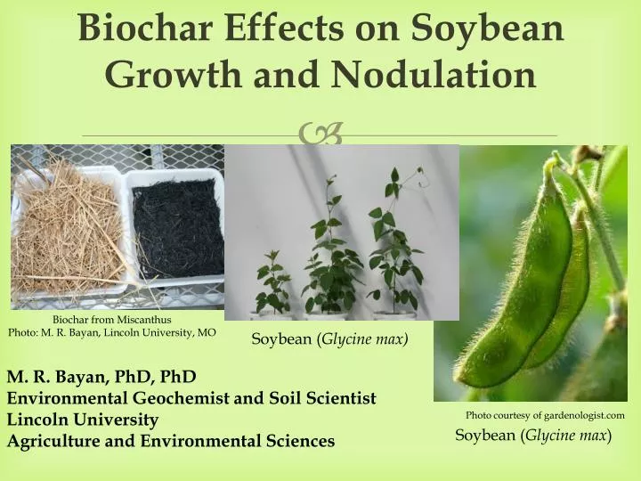biochar effects on soybean growth and nodulation
