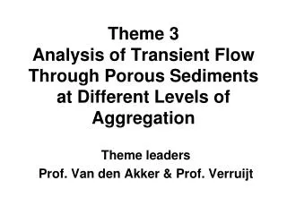 Theme 3 Analysis of Transient Flow Through Porous Sediments at Different Levels of Aggregation