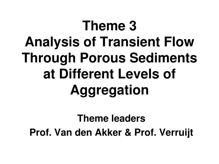 theme 3 analysis of transient flow through porous sediments at different levels of aggregation