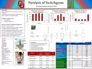 Project Goal: Design pyrolysis process to produce bio-oil from switchgrass .