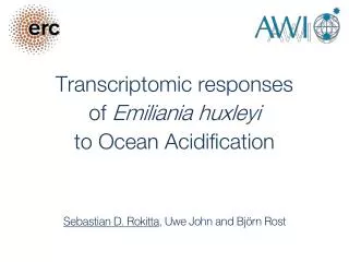 Transcriptomic responses of Emiliania huxleyi to Ocean Acidification