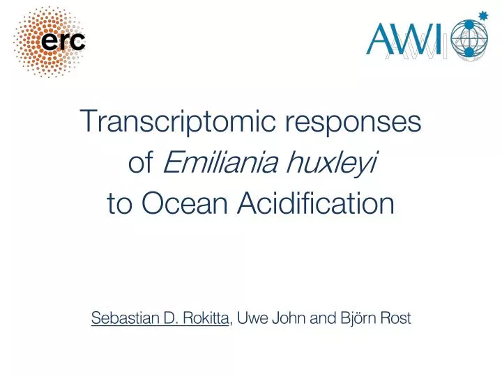 transcriptomic responses of emiliania huxleyi to ocean acidification