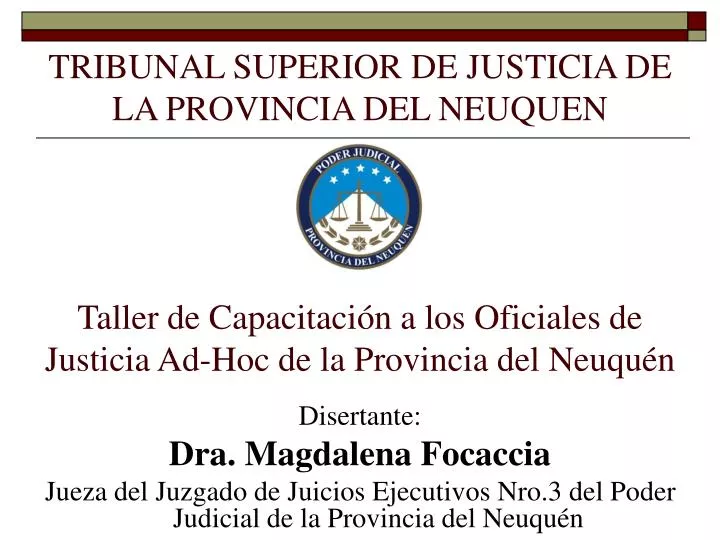 tribunal superior de justicia de la provincia del neuquen