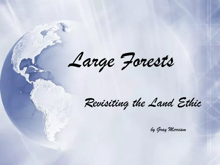 large forests