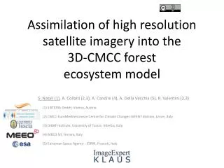 Assimilation of high resolution satellite imagery into the 3D-CMCC forest ecosystem model