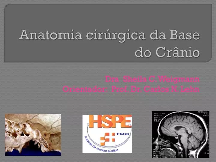 anatomia cir rgica da base do cr nio