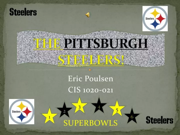 the pittsburgh steelers