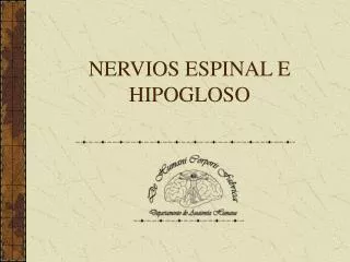 nervios espinal e hipogloso