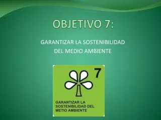 objetivo 7