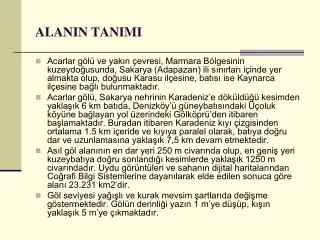 alanin tanimi
