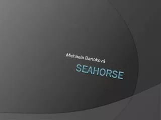 Seahorse