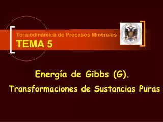 termodin mica de procesos minerales tema 5