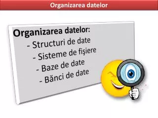 organizarea datelor structuri de date sisteme de fi iere baze de date b nci de date