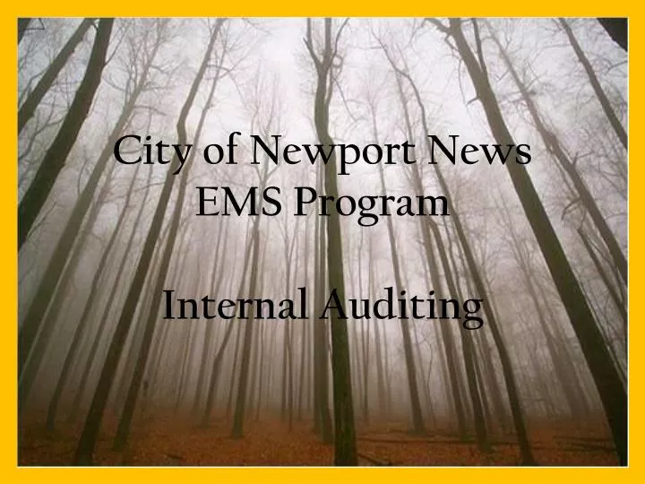 city of newport news ems program internal auditing