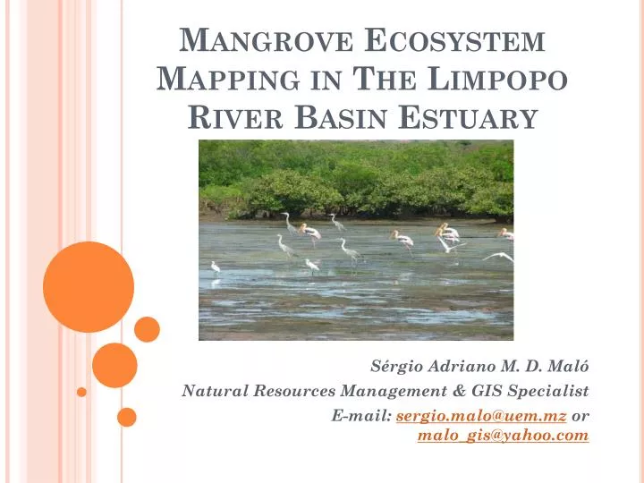 mangrove ecosystem mapping in the limpopo river basin estuary