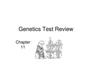 Genetics Test Review