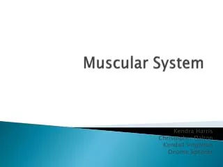 Muscular System