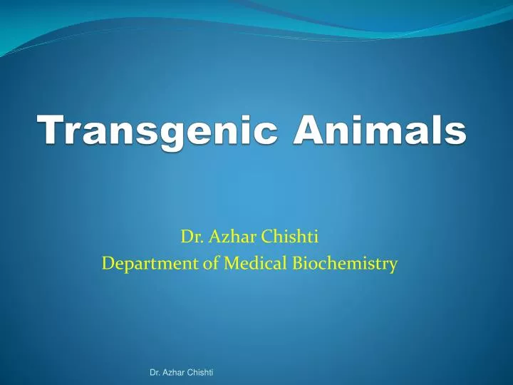 transgenic animals