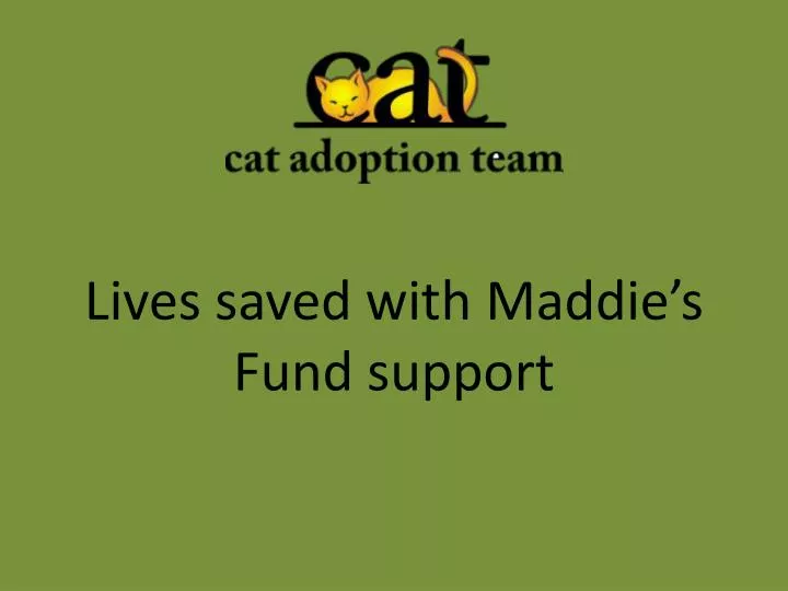 lives saved with maddie s fund support