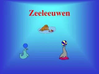 zeeleeuwen