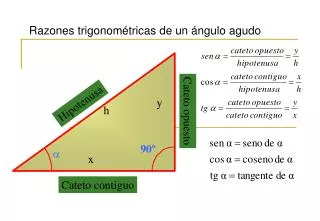razones trigonom tricas de un ngulo agudo