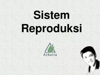 sistem reproduksi