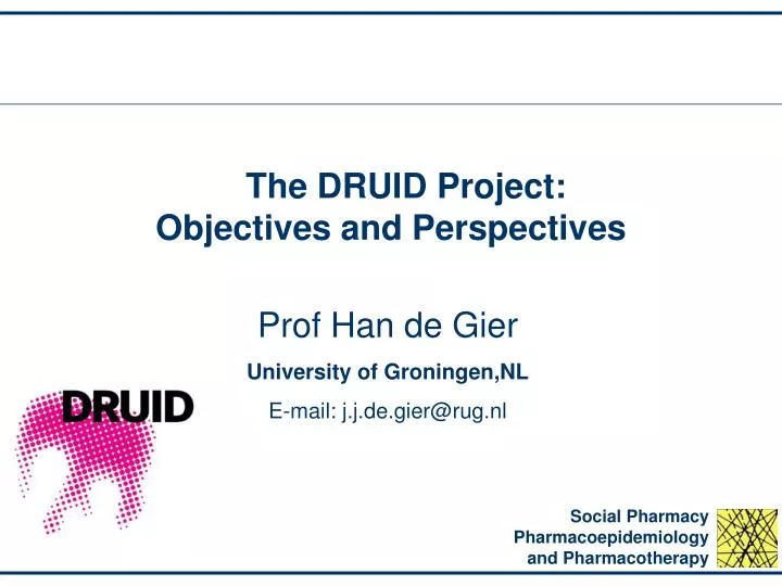 the druid project objectives and perspectives