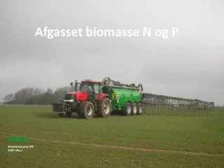 afgasset biomasse n og p