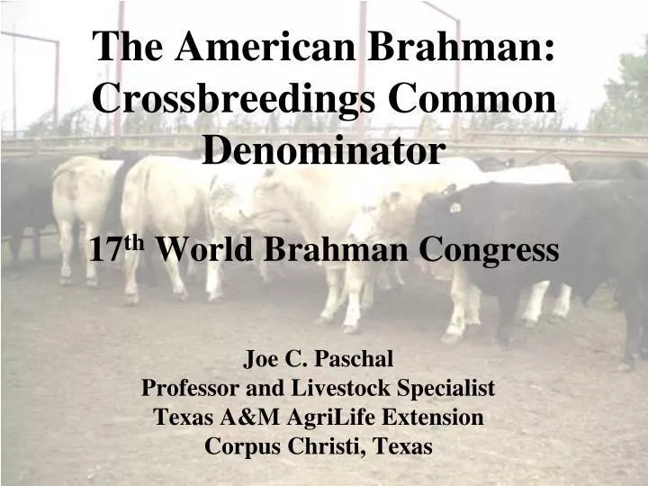 the american brahman crossbreedings common denominator 17 th world brahman congress