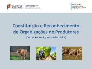 constitui o e reconhecimento de organiza es de produtores outros setores agr colas e pecu rios