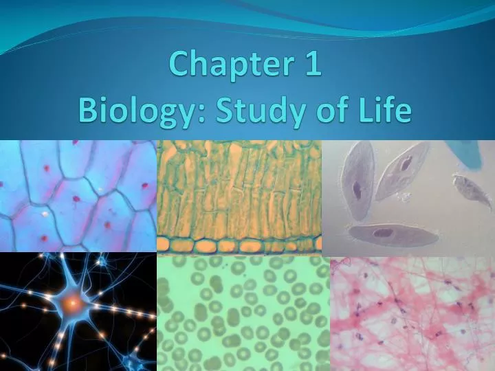 chapter 1 biology study of life