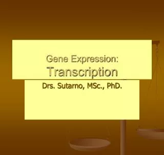 Gene Expression: Transcription