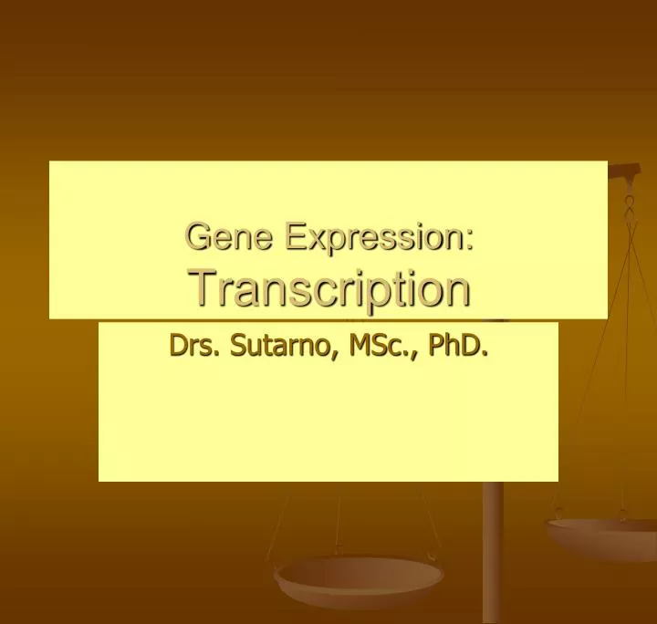 gene expression transcription