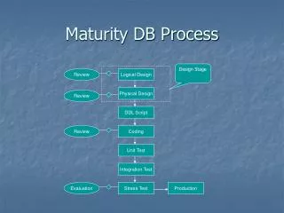 Maturity DB Process