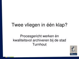 twee vliegen in n klap