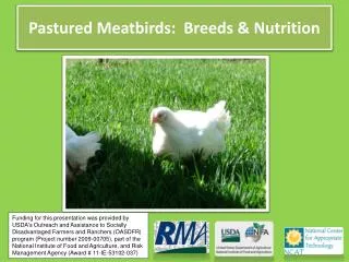 Pastured Meatbirds : Breeds &amp; Nutrition