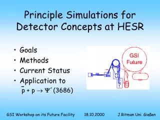 Principle Simulations for Detector Concepts at HESR