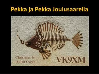 pekka ja pekka joulusaarella
