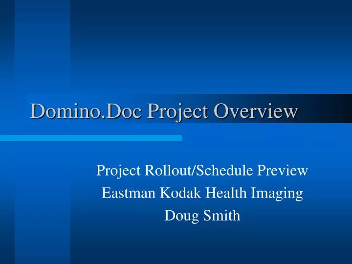 domino doc project overview