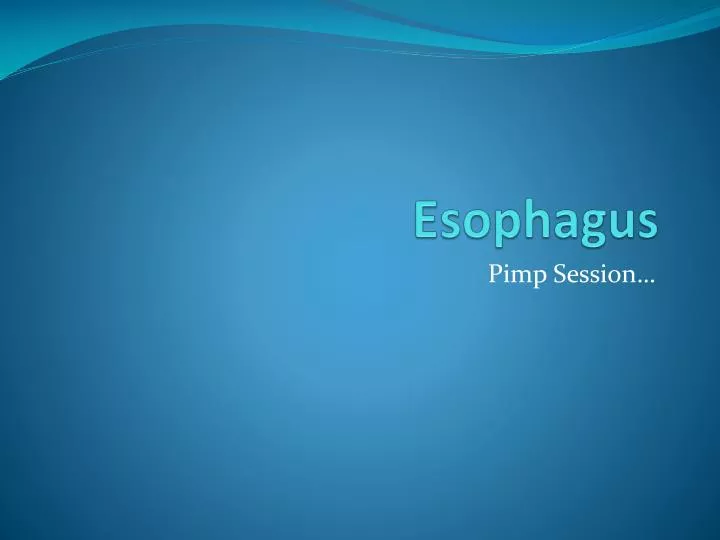 esophagus