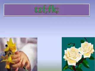 tzf fk