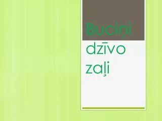 buci i dz vo za i