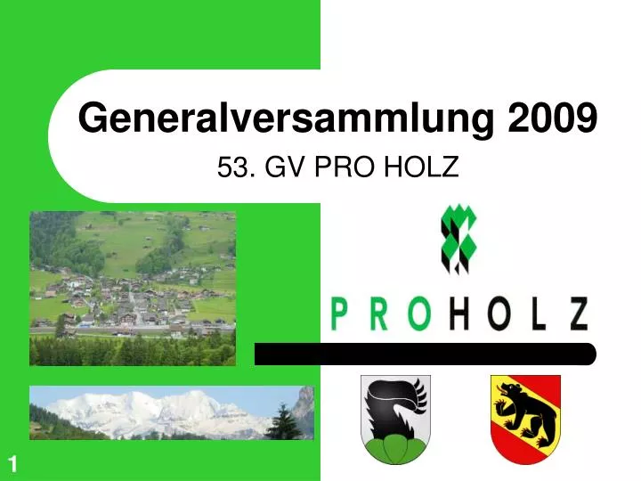 generalversammlung 2009 53 gv pro holz