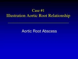 Case #1 Illustration Aortic Root Relationship