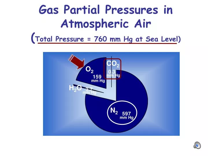 gas partial pressures in atmospheric air total pressure 760 mm hg at sea level