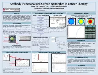 Antibody-Functionalized Carbon Nanotubes in Cancer Therapy *